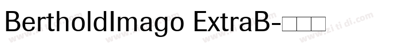 BertholdImago ExtraB字体转换 BertholdImago ExtraB字体转换